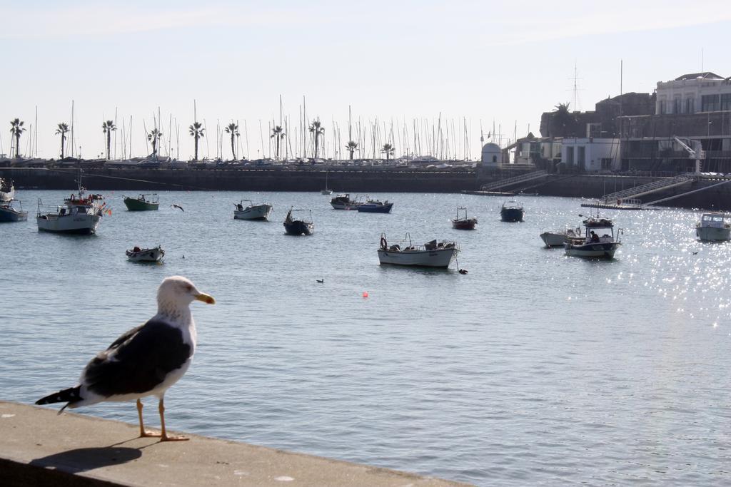 Charming Cascais Apt. Pokój zdjęcie
